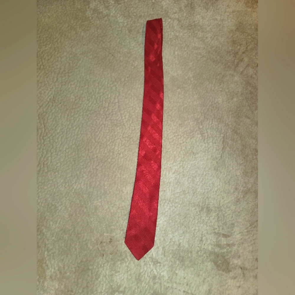 Vintage Pierre Cardin Necktie
